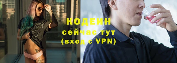 индика Рославль