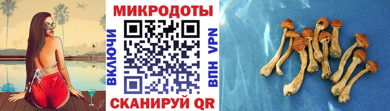 Галлюциногенные грибы прущие грибы  наркошоп  Певек 